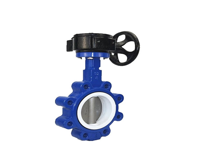 Lug Type Butterfly Valve