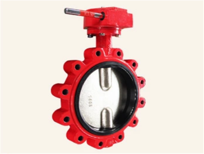 Lug Type Butterfly Valve