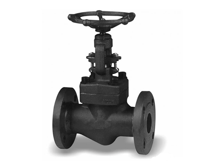 Forged Globe Valve