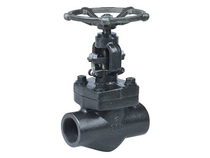 Forged Globe Valve