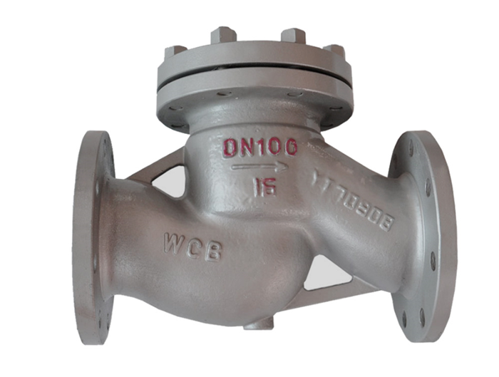 Lift Check Valve