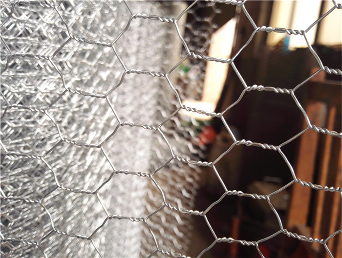 Hexagonal wire mesh/chicken wire mesh
